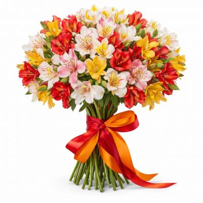 Альстромерия микс 2