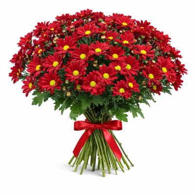 Хризантема кустовая красная