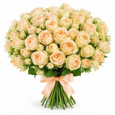 Розы Пионовидные кустовые