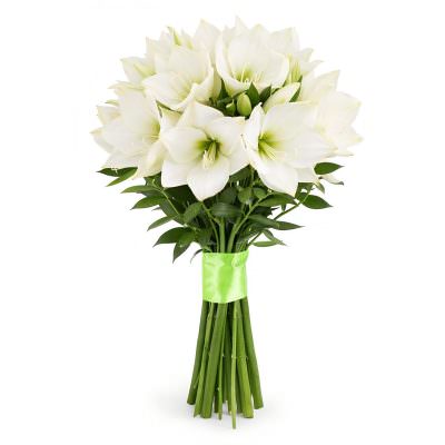 Амариллис белый