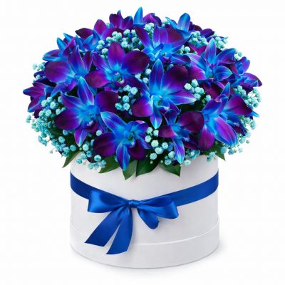 Цветы в цилиндрической коробке «Синий дендробиум»